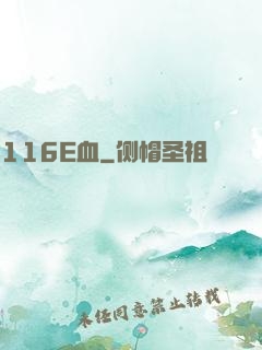 116E血