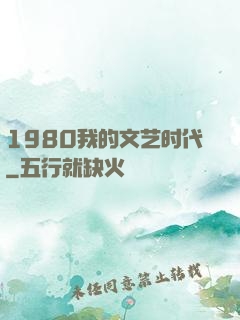 1980我的文艺时代