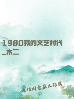 1980我的文艺时代