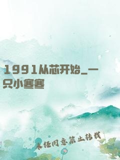 1991从芯开始