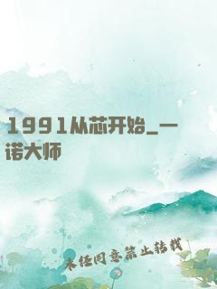 1991从芯开始
