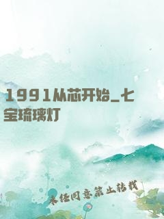 1991从芯开始