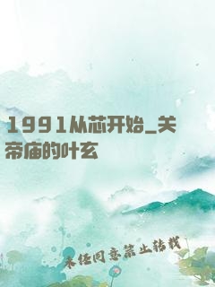1991从芯开始