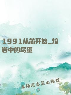 1991从芯开始