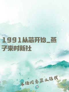 1991从芯开始