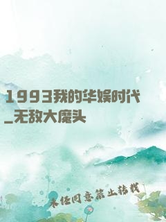 1993我的华娱时代