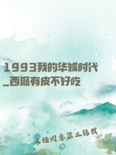 1993我的华娱时代