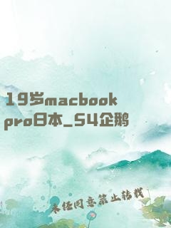 19岁macbookpro日本