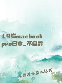 19岁macbookpro日本
