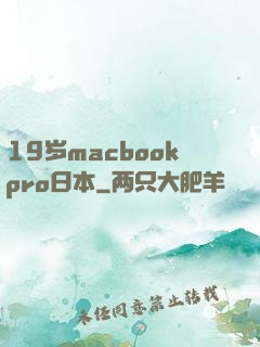 19岁macbookpro日本