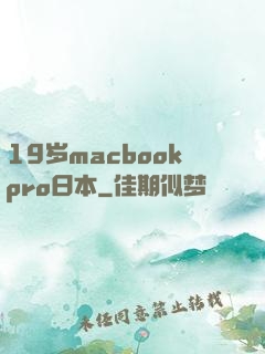 19岁macbookpro日本