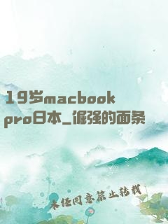 19岁macbookpro日本