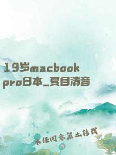 19岁macbookpro日本