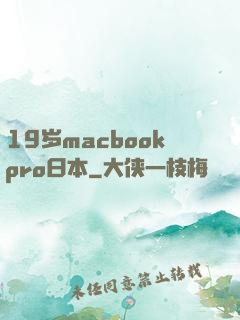 19岁macbookpro日本