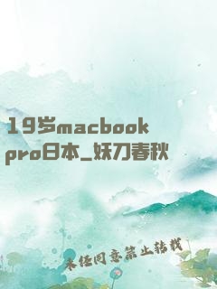 19岁macbookpro日本