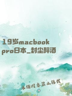 19岁macbookpro日本