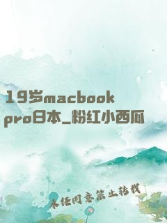 19岁macbookpro日本