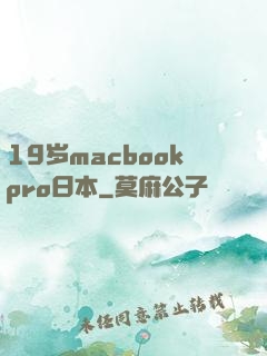 19岁macbookpro日本