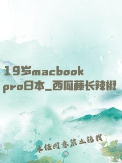 19岁macbookpro日本