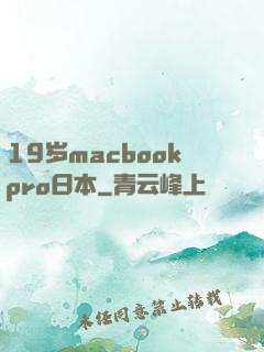 19岁macbookpro日本
