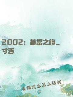 2002：首富之路