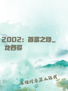 2002：首富之路
