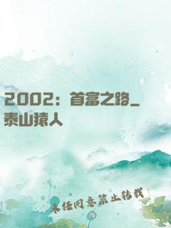 2002：首富之路