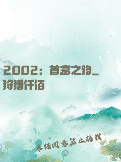 2002：首富之路