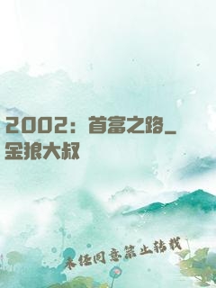 2002：首富之路