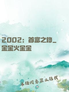 2002：首富之路
