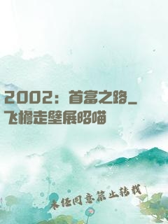 2002：首富之路