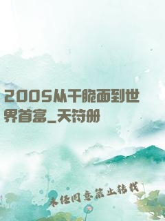 2005从干脆面到世界首富