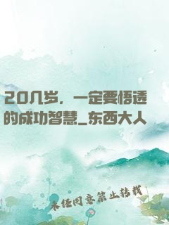 20几岁，一定要悟透的成功智慧