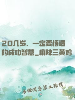 20几岁，一定要悟透的成功智慧