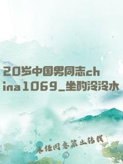 20岁中国男同志china1069