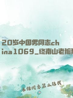 20岁中国男同志china1069
