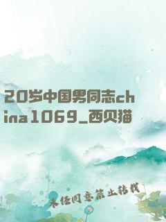 20岁中国男同志china1069