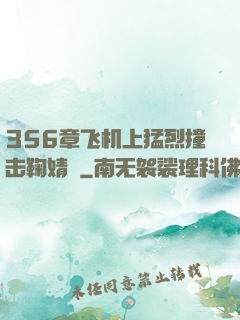 356章飞机上猛烈撞击鞠婧祎
