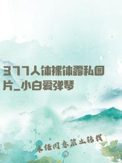 377人体裸体露私图片