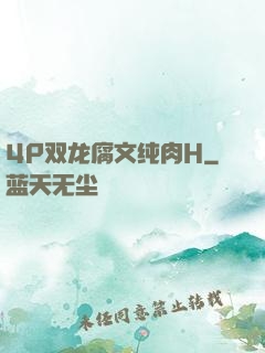 4P双龙腐文纯肉H