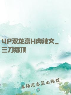 4P双龙高H肉辣文