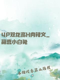 4P双龙高H肉辣文