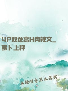 4P双龙高H肉辣文