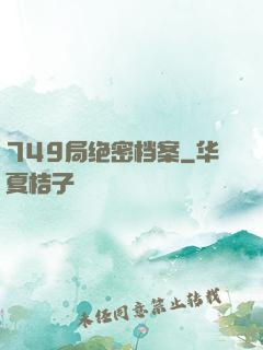 749局绝密档案