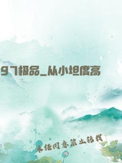 97极品