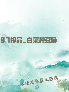97极品