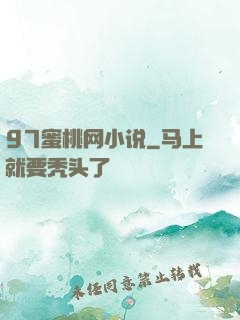 97蜜桃网小说