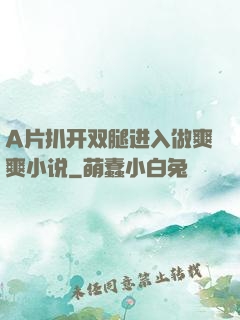 A片扒开双腿进入做爽爽小说