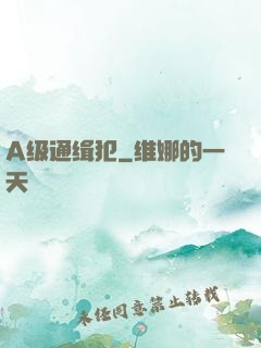 A级通缉犯