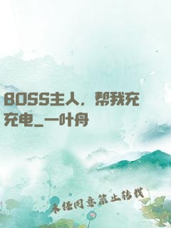 BOSS主人，帮我充充电